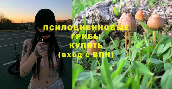spice Балабаново