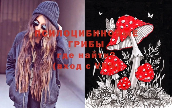 дурь Балахна