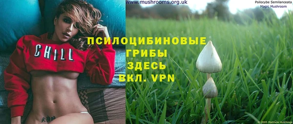 прущая мука Армянск
