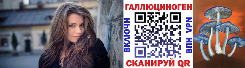 Галлюциногенные грибы Psilocybine cubensis  Гаджиево 